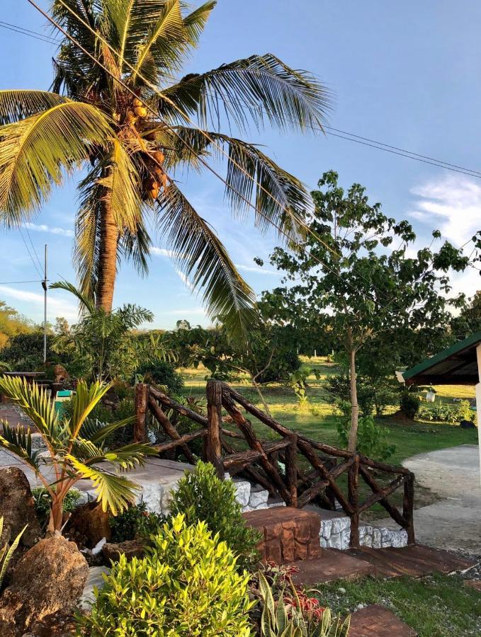 Michaels Homestay - Farm Villa Nr Patar Beach & Bolinao Falls Екстериор снимка